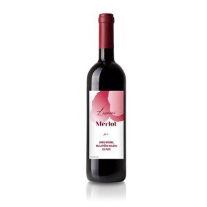 Dárkové víno Merlot s originální etiketou, Červené víno